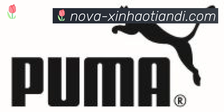 新濠天地平台官方平台合作伙伴